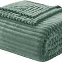 Nestl Green Throw Blanket for Couch - Cozy Warm Fuzzy Blankets for Women, Plush Small Fleece Throws for Girls - Sage Green, 50 x 60 Inches