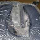 Drop Arm Bedside Commode, Commode Toilet with Padded Seat and Backrest, 400lbs Capacity, 5.3QT Removable Bucket and Splash Guard, Adjustable Height Portable Toilet for Adults, Blue