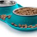 Hubulk Pet Dog Bowls 2 Stainless Steel Dog Bowl with No Spill Non-Skid Silicone Mat + Pet Food Scoop Water and Food Feeder Bowls for Feeding Small Medium Large Dogs Cats Puppies (Small, Green)