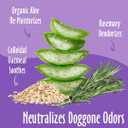 earthbath, Mediterranean Magic 3-in-1 Dog & Puppy Deodorizing Spritz - Dog Odor Eliminator for Strong Odor, Cruelty-Free Dog Cologne, Dog Wash Spray, Made in USA, Dog Bathing Supplies - 8 Oz (1 Pack)