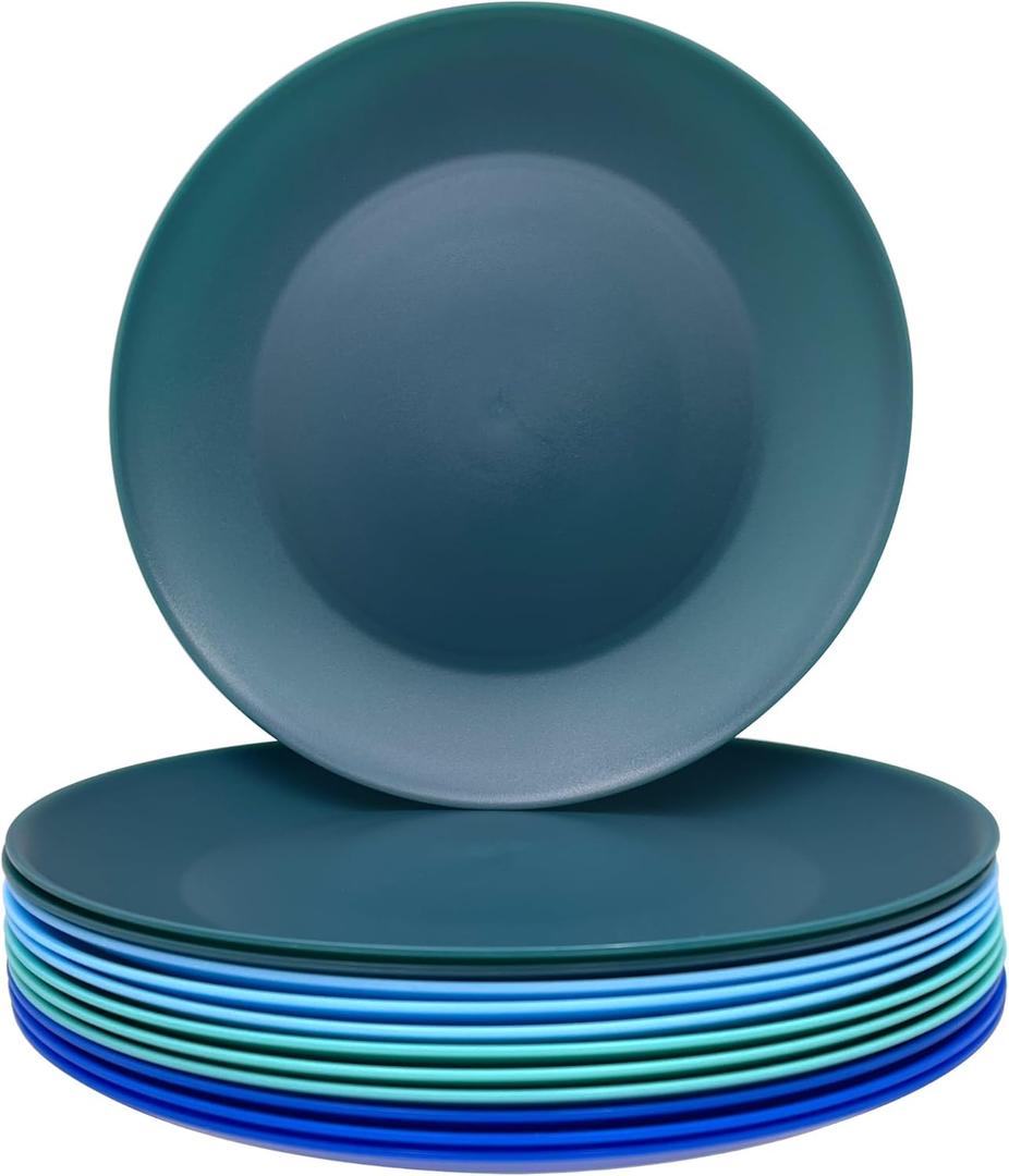AOYITE Plastic Plates Reusable 10 inch, Unbreakable Dinner Plates set of 12, BPA Free Microwave & Dishwasher Safe Party Plate for Any Occasion, BBQ, Travel, Events (Coastal)