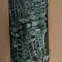 150 Pcs 4 Kinds Mixed Artificial Eucalyptus Leaves Stems Bulk Fake Silver Dollar Eucalyptus Bundle Faux Plants Greenery for DIY Bouquets Floral Arrangement Wedding Engagement Party Decor