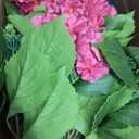 QIANYUN Artificial Hydrangea Tree 29" Tall (Set of 2), Faux Pink Hydrangea Plant in Pot, Realistic Artificial Plant for Indoor Outdoor Porch, Patio, Balcony Decor, Pink