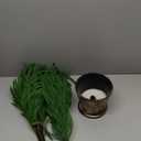 XmasExp 3ft Norfolk Pine Tree Artificial Faux Potted Christmas Tree for Front Porch Indoor Outdoor Decor