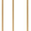 Metal Gold Tall Plant Stand Indoor or Outdoor - 30 inch 2 Tier Modern Corner Planter Shelf Rack with 2 Removable Display Shelves(10 inch) for Bedroom Living Room Balcony