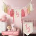 1/2 Birthday Girl High Chair Banner - 3PCS Half Birthday Decorations with Half Birthday Hat Cake Candle, Half Way to One Decorations Kit for Baby Girl 6 Month Party Photoshoot Props（Pink＆white）