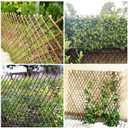 Sumery Nature Willow Trellis Expandable Plant Support Plant Climbing Lattices Trellis Willow Expandable Trellis Fence for Climbing Plants Support 36x92 Inch,Double Panel (2, Willow Wicker Fence)