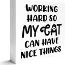 2 x Cat Lover Decor Wooden Box Sign, Funny Cat Desk Decoration for Home, Working Hard, Cat Lover Gifts for Women Men, Cat Mom Cat Dad Cat Owner Gifts