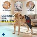 Dog Rear Leg Sleeve to Stop Licking, Upgraded Hind Leg Cover to Stop Slipping, for TPLO Surgery, Skin Conditions, Wounds, Breathable Soft Fabric, Dog Cone Alternative, Right,XS,Light Black