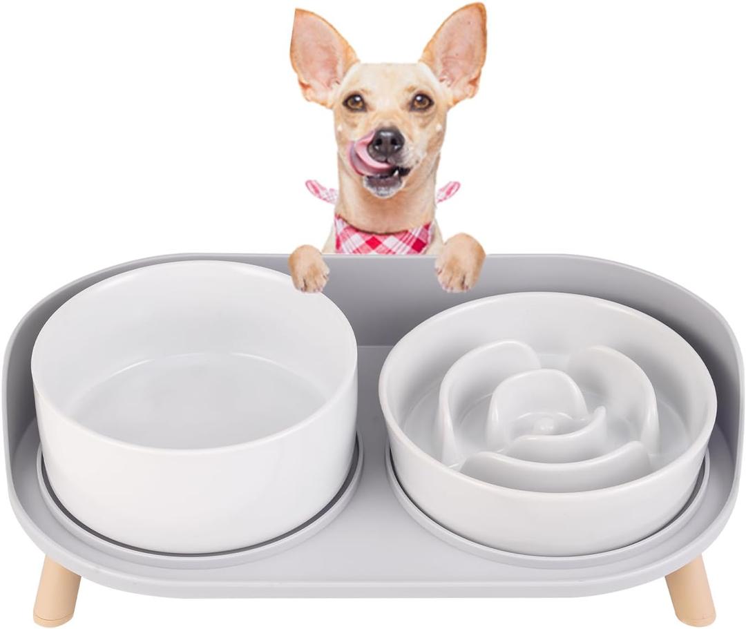 Elevated Slow Feeder Dog Bowls - Ceramic Food and Water Bowl Set with Stand - Raised Pet Dishes for Small and Medium Sized Dogs (White)