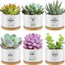 Reallnaive 6 Pcs Inspirational Succulent Pots with Bamboo Tray, Mini Ceramic Planters Appreciation Gifts for Employees Teachers Nurses Coworker Staff Team Thank You Graduation (Plants Not Included)