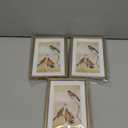 3.5x5 Picture Frame Set of 3, Gold Metal Photo Frames with HD Glass, Fits 2.5x3.5 with Mat or 3.5x5 without Mat, Wall Hanging and Table Display