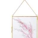 NCYP Double Glass Floating Frame 8" x 8" for Pressed Dried Flowers, Photo, Picture - Modern Indoor Wall Hanging Vertical Decor, Plant Specimen Clip, Gold, Handmade, Glass Frame Only