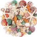 Jangostor Sea Shells Mixed Ocean Seashells, 1.2"-3.5" Various Sizes Beach Seashells and Natural Starfish for Vase Fillers Fish Tank Beach Themed Party Home Wedding Decorations DIY Crafts