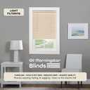 Cordless Light Filtering Mini Blind, 24 x 64 in, Alabaster