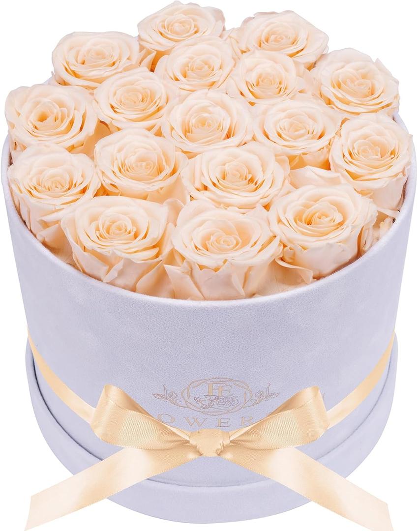 17 Flowers in a Luxury Suede Box, Birthday Gifts for Women, Preserved Flowers, Mothers Day Roses Gift for Mom, Champagne