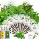 Gourmet Herb Seed Pod Kit Compatible with AeroGarden, idoo, Ahopegarden, Gardencube with Basil, Parsley, Thyme, Mint, Cilantro, Dill, Oregano, Chives - Compatible with All Hydroponics(8-Pod)