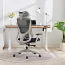 Nouhaus Apertura Ergonomic Office Chair Dynamic Back Support, 3D Armrests, 28.94 inches x 28.94 inches x 45.47 inches