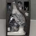 Microscope for Adults & Kids, 40X-2000X High-Power Compound Microscope for Students, School Lab & Home Schooling,Equiped with Slides Set & Phone Holder(01)