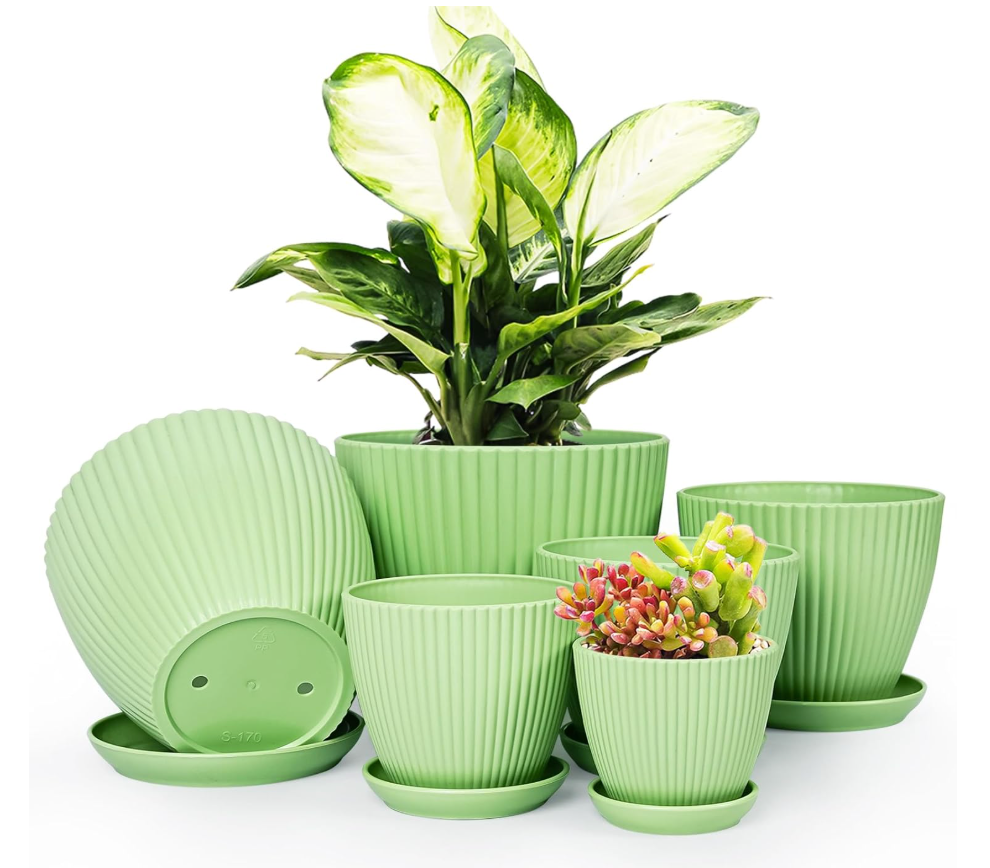 Plant Pots Indoor with Saucers & Drainage - 6 Pack Flower Pots - Plastic Planters for Indoor Planter - 7.5/6.6/5.8/5.0/4.3/3.5 inches Sizes for All Different Types of Plants-Light Green