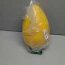 Jolly Pets Jolly Egg Dog Toy, 12 Inches/Large, Yellow