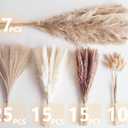 Decorative Tall Pampas Grass for Floor Vase Premium Large Pampas Grass Decor Tall, 17"-40" Pampas Grass Stems, Dried Pampas Grass Decor Tall, Natural Pampas Grass with Beige Decor and Boho Feathers