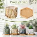 Marbling Ceramic Flower Pot Succulent Small Plant Cactus Herbs Planter Ceramic Pot with Drainage Hole Matte Container(4 Pcs,Hexagon Style)