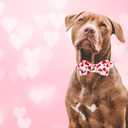 Elegant little tail Valentine's Dog Collar, Cute Pink Heart Pet Collars Soft Dog Puppy Collar Female or Male Adjustable Cotton Pet Collars with Bow for Small Medium Large Dogs (X-Large (Pack of 1))