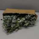 Winlyn 20 Pcs Mixed Artificial Oval Eucalyptus Leaves Bulk with White Seeds Stems and Spray for Vase Floral Wreath Bouquets Wedding Greenery Decoration