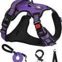 NESTROAD No Pull Dog Harness,Adjustable Oxford Dog Vest Harness with Leash,Reflective No-Choke Pet Harness with Easy Control Soft Handle for Small Dogs(Small,Purple) (Sneck 11-15" chest 15-21")