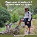 Exquisite Hands-Free Leash for Medium Dogs: Ultimate Comfort & Freedom for Running, Walking, Hiking. Premium Quality, Durable & Versatile Waist Dog Leash Belt. Your Dog Will Love It