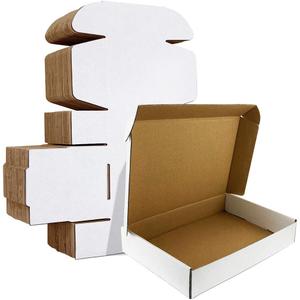 HORLIMER 12x9x3 inches Shipping Boxes Set of 20, White Corrugated Cardboard Box Literature Mailer