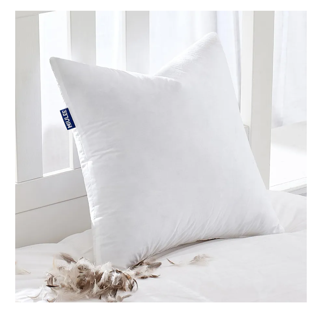 MIULEE Feather Pillow Insert 22x22, Decorative Down Throw Pillow Insert Fluffy Throw Pillow Cotton Fabric for Sofa Bed Couch