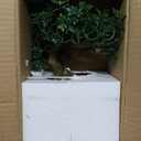 Artificial Bonsai Tree Juniper Faux Plants Indoor Fake Plants Decor with Ceramic Pots for Home Table Office Desk Bathroom Shelf Bedroom Living Room Farmhouse Decorations