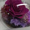 FIACO Mothers Day Flowers Gifts for Mom Flowers for Delivery Prime Birthday Gifts for Women Grandma Gifts Forever Preserved Fresh Eternal Rose in Glass Dome for Girlfriend Wife Her