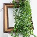 Mythlty 4 Stems Artificial Hanging Plant, Fake Plastic Hanging Greenery Stems with Roots for Home Farmhouse Wall, Ceiling, Bathroom, Mantle, Outdoors Porch Decorations (3  Eucalyptus)