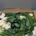 Hotop 80 Pcs Rose Artificial Flowers Bulk with Long Stem, Silk Roses Realistic Fake Flowers Bouquet for Wedding Table Centerpieces Bridal Shower Party Home Decorations (Beige)