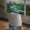 Dehumidifier, AlohaAir 34 OZ Small Dehumidifiers for Home and Room, Quiet with 7 Colors Night Light, Auto Shut Off, Dehumidifiers for Bedroom, Bathroom, RV, and Closet