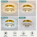 ZGLAOJT Modern LED Ceiling Light Fixture Gold Semi Flush Mount Acrylic Ceiling Light 12W Small Chandelier for Farmhouses Kitchen Dining Room Living Room Bedroom.