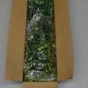 RECUTMS 8 Bundles Artificial Eucalyptus Artificial Grasses Fake Greenery Boxwood Stems Fake Plants and Greenery Springs for Farmhouse,Home,Garden,Office,Patio,Wedding and Indoor Outdoor(Eucalyptus)