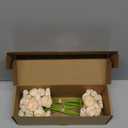 Floroom Ranunculus Artificial Flowers 18 Pcs Champagne Faux Silk Mini Ranunculus Bulk Fake Wedding Filler Flowers for DIY Cream Bouquets, Centerpieces, Bridal Shower Decorations & Arrangements