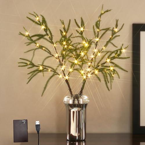 Hairui Lighted Norfolk Pine Branches Battery Operated with Timer, Tree Branch Lights 32IN 60 LED Fairy Lights for Home Bedroom Fireplace Thanksgiving Christmas Decor (Vase Excluded)