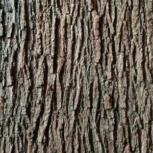 BOALORD Artificial Tree Bark - Natural Garden Mulch & Landscape Decor(19.69x39.37in/0.5 * 1m)