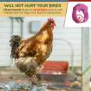 100 Pcs Adjustable Chicken Leg Bands - 5 Colors Numbered 16mm-20mm Chicken Tags for Legs -Poultry Leg Bands for Chickens Ducks and Goose