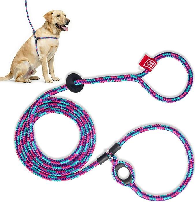 Harness Lead No Pull Dog Harness and Leash Set, Anti Pull Dog Harness for All Breeds and Sizes, One-Piece Cushioned Rope Design Safely Prevents Escaping and Pulling (Small/Medium, Pink)