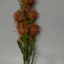 Hollyone 33" Yellow Artificial Mums for Outdoors Fall Flowers Fake Fall Mums Faux Chrysanthemum Flowers 2Pcs Spider Mum Flower Arrangement Autumn Flower with 3 Heads Long Stem for Centerpiece Bouquet