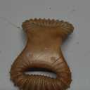 Benebone Dental Durable Dog Chew Toy for Aggressive Chewers, Real Bacon, Made in USA, Small