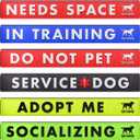 Tuff Pupper Waterproof Leash Sleeve | Fits Any Standard Size 1 Inch Wide Leash | Dual Sided Message | Durable Neoprene & Silicone | Odor & Stink Proof | Easy Secure On & Off (2 Pack, Adopt Me)