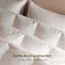 Cobnom Feather and Down Fibres Comforter Queen Size - 100% Organic Cotton, Quill-Free & Ethical, Luxury All Season Duvet Insert (White, 90x90 Inches)