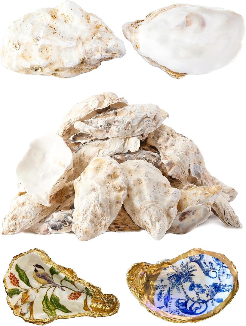 30Pcs Oyster Shells for Crafts 4"-5" Large Oyster Shell for CraftsOyster Shells for Christmas Painting Beach Themes Wedding, Home Shells for Decoration and Sea Shells for Crafting
